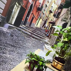 Casa Mari' Centro Storico Vicino Caracciolo Naples